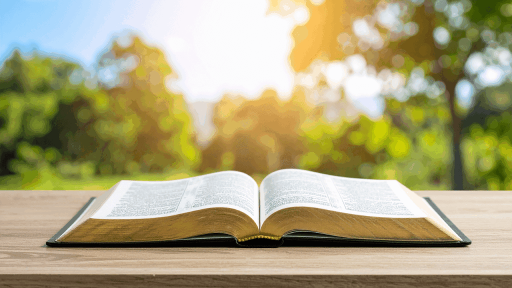 ¿Cómo Dejar de Ser Como Soy?